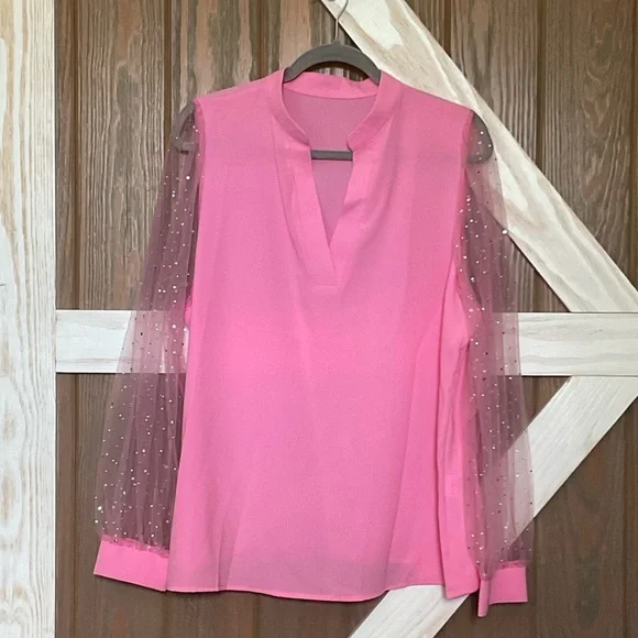 Elegant Pink OR Blue Blouse with Sheer Sparkly Sleeves. SIZES vary - Picture 8 of 9